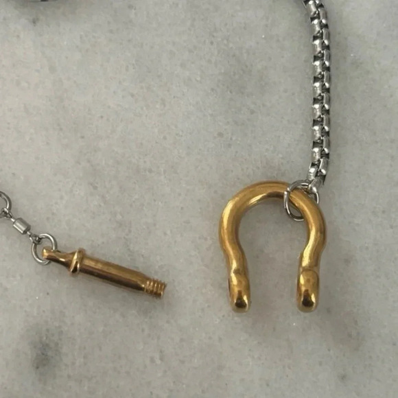 COPY - Gold Chain Two Tone Silver Horse Bit Chunky Charm Clasp Carabiner Neckla… - Picture 4 of 4